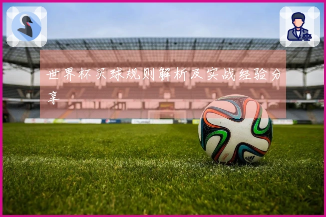 世界杯买球规则解析及实战经验分享