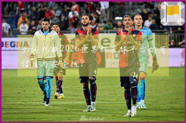 如何判断2026世界杯买球平台的可信度与安全性？