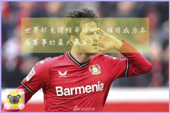 世界杯竞猜赔率对比：谁将成为本届赛事的最大赢家？