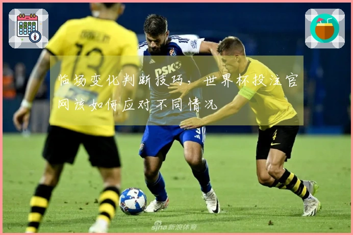 临场变化判断技巧，世界杯投注官网该如何应对不同情况