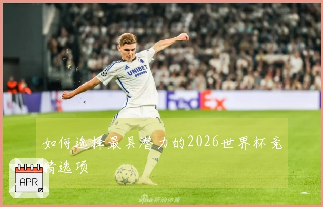 如何选择最具潜力的2026世界杯竞猜选项