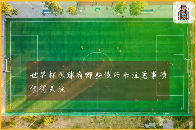 世界杯买球有哪些技巧和注意事项值得关注