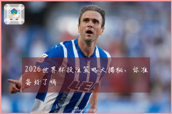 2026世界杯投注策略大揭秘,你准备好了吗