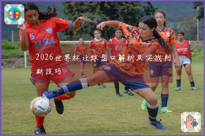 2026世界杯让球盘口解析及实战判断技巧