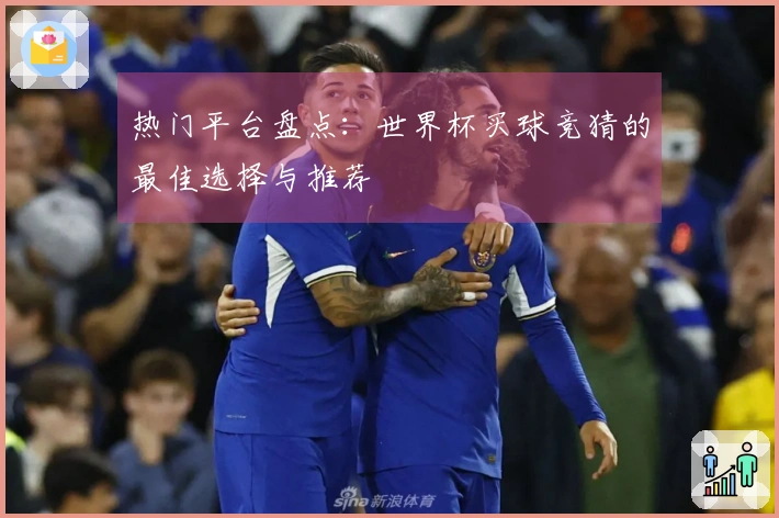 热门平台盘点：世界杯买球竞猜的最佳选择与推荐
