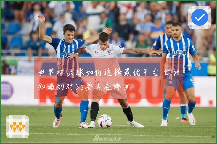 世界杯买球如何选择最优平台 你该知道的对比要点在哪里