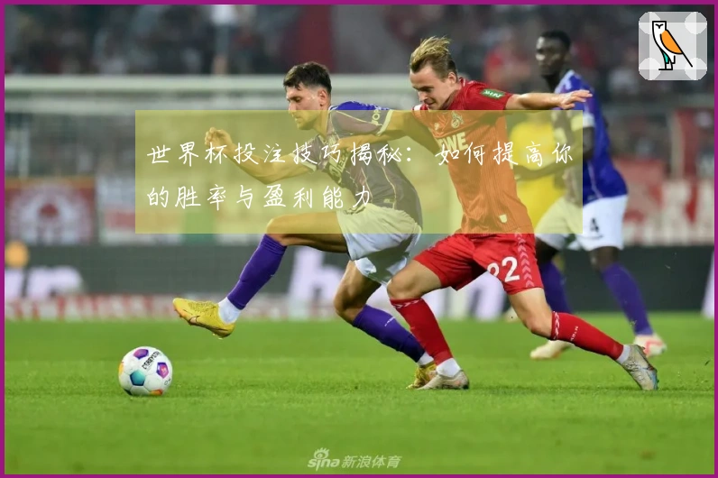 世界杯投注技巧揭秘：如何提高你的胜率与盈利能力