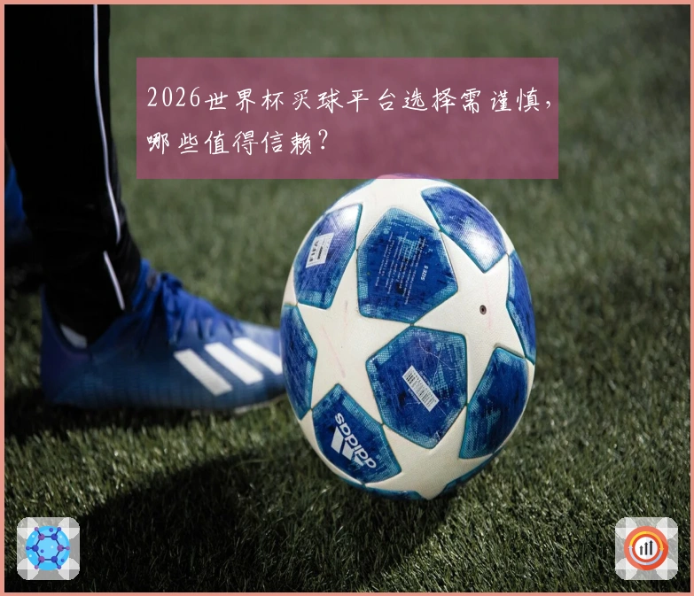 2026世界杯买球平台选择需谨慎，哪些值得信赖？