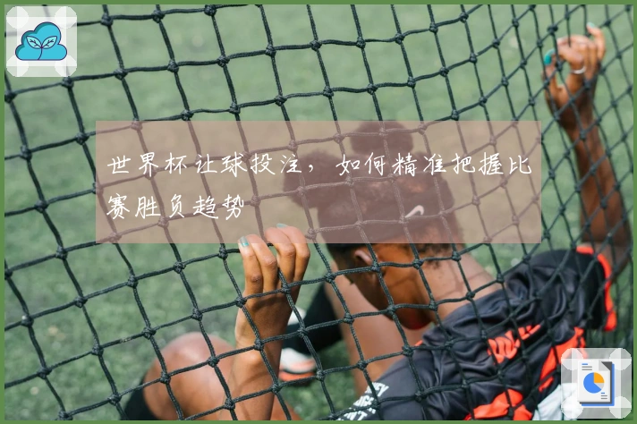 世界杯让球投注，如何精准把握比赛胜负趋势