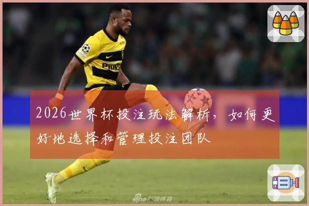 2026世界杯投注玩法解析，如何更好地选择和管理投注团队