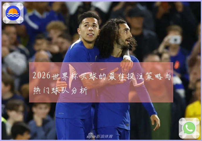 2026世界杯买球的最佳投注策略与热门球队分析