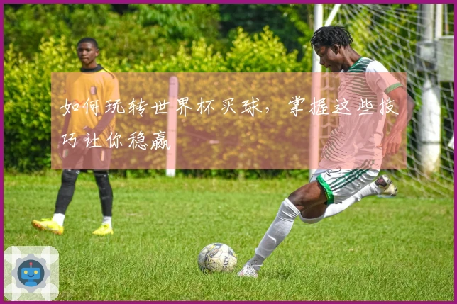 如何玩转世界杯买球，掌握这些技巧让你稳赢