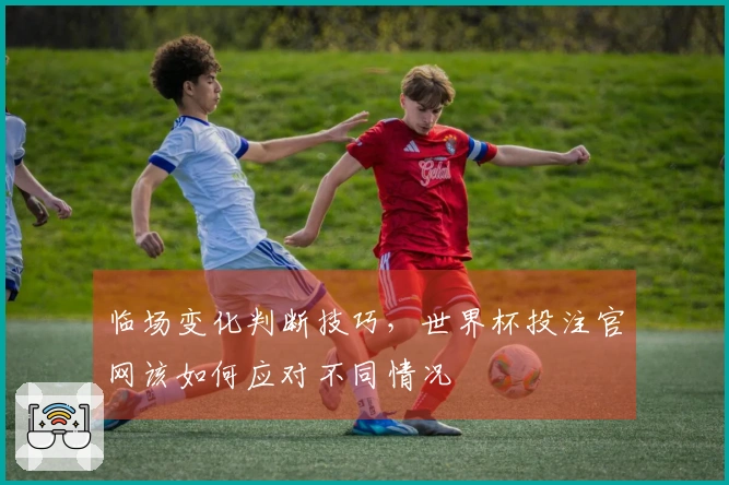 临场变化判断技巧，世界杯投注官网该如何应对不同情况