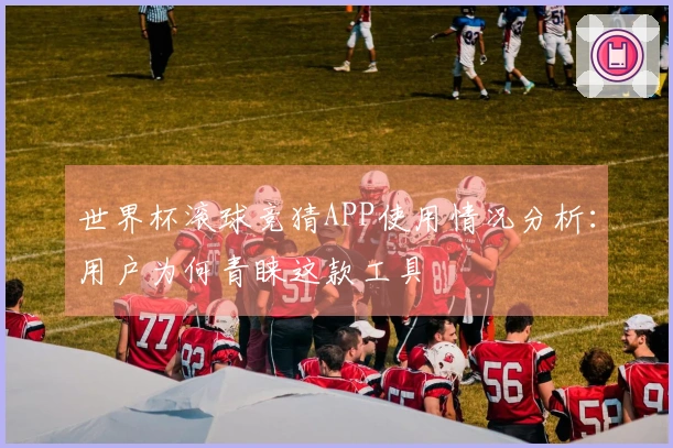世界杯滚球竞猜APP使用情况分析：用户为何青睐这款工具