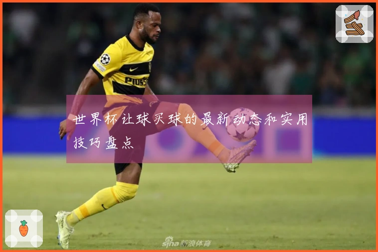 世界杯让球买球的最新动态和实用技巧盘点