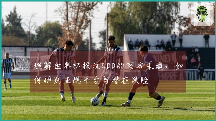 理解世界杯投注app的官方渠道，如何辨别正规平台与潜在风险