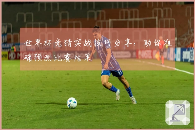 世界杯竞猜实战技巧分享，助你准确预测比赛结果