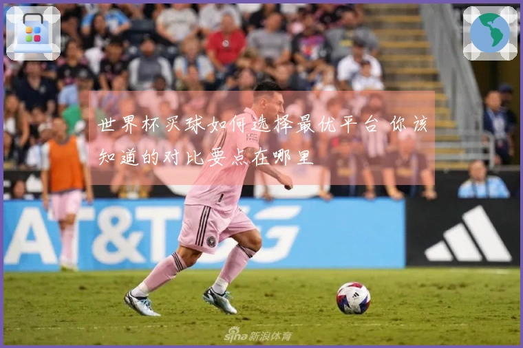 世界杯买球如何选择最优平台 你该知道的对比要点在哪里