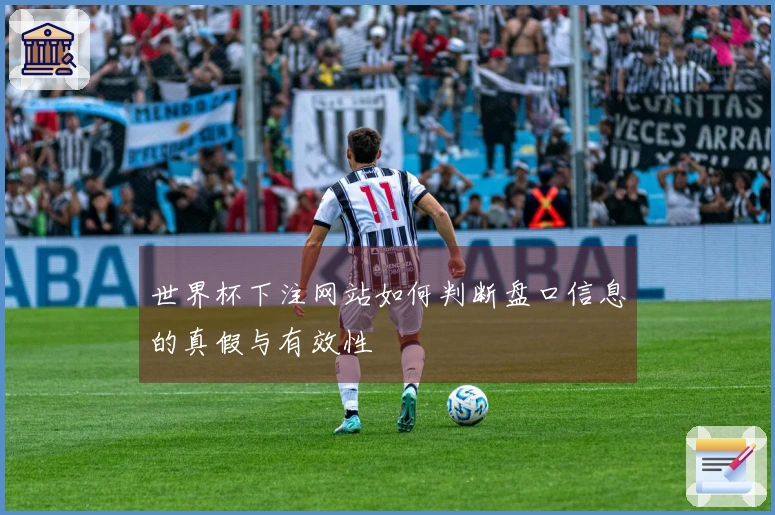 世界杯下注网站如何判断盘口信息的真假与有效性