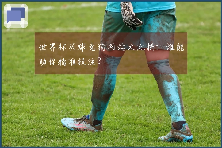 世界杯买球竞猜网站大比拼：谁能助你精准投注？