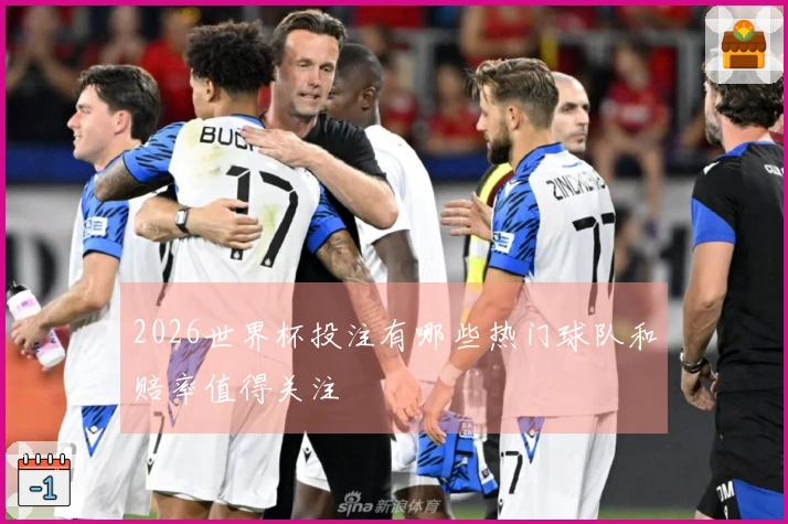 2026世界杯投注有哪些热门球队和赔率值得关注