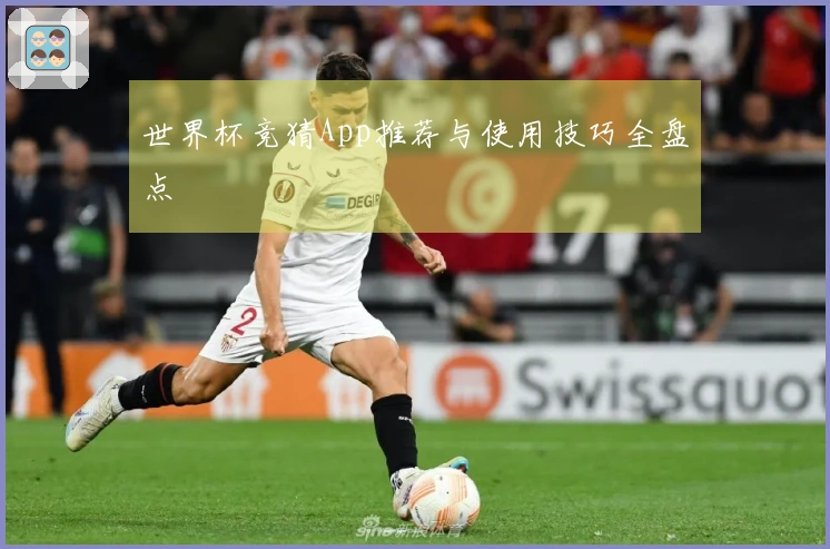 世界杯竞猜App推荐与使用技巧全盘点