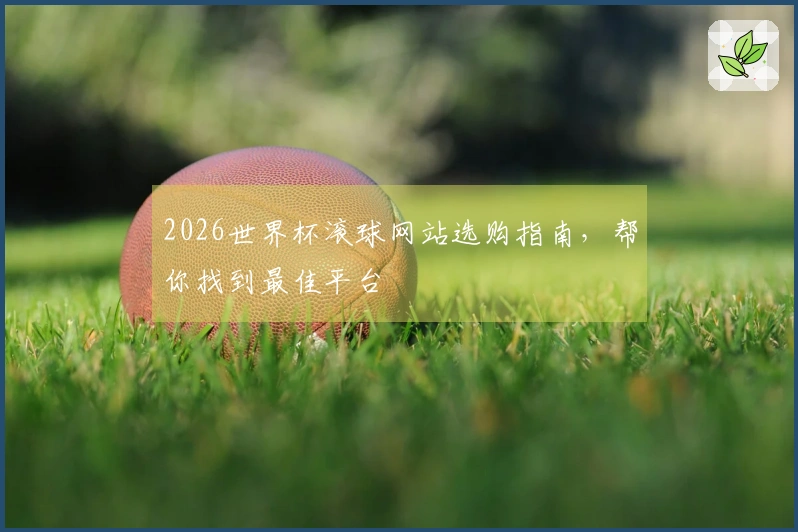 2026世界杯滚球网站选购指南，帮你找到最佳平台