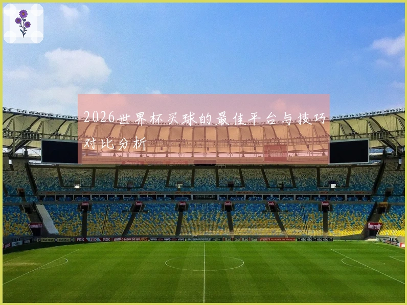 2026世界杯买球的最佳平台与技巧对比分析