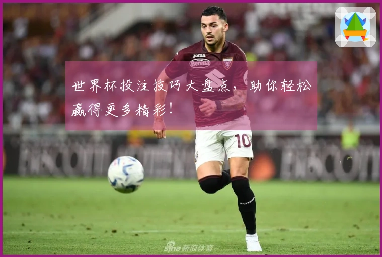 世界杯投注技巧大盘点，助你轻松赢得更多精彩！