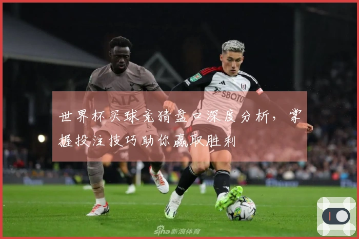 世界杯买球竞猜盘口深度分析，掌握投注技巧助你赢取胜利